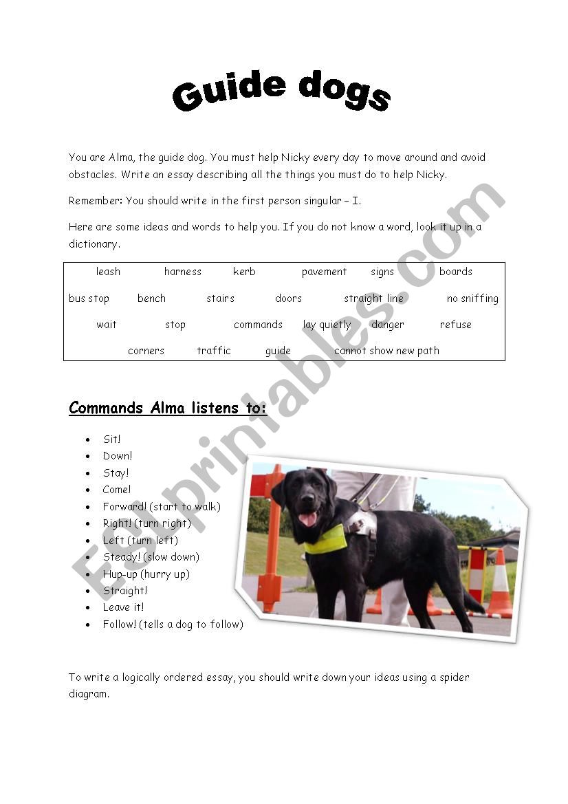 Guide dogs worksheet