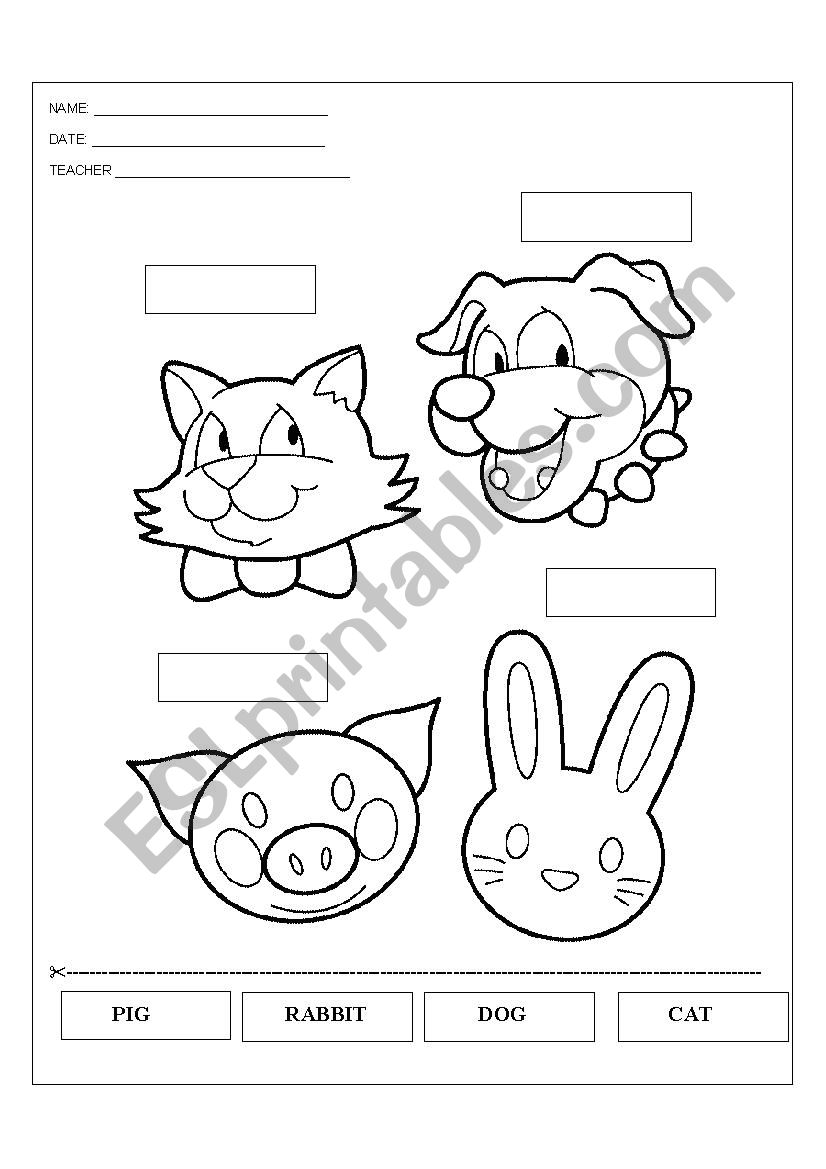 Animals worksheet