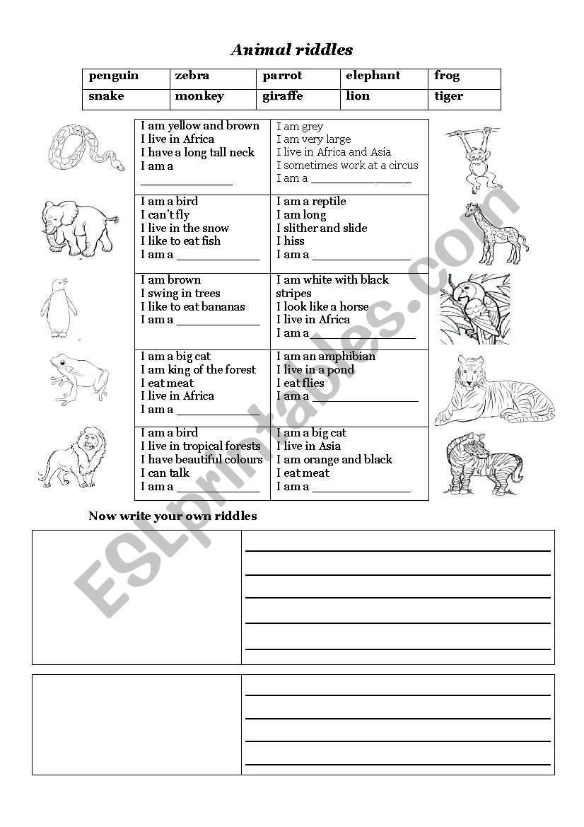 animal riddles worksheet