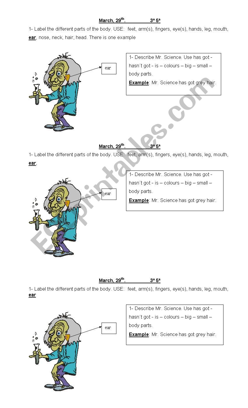 body parts worksheet