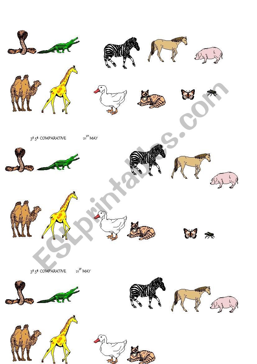 animals-adjectives-esl-worksheet-by-marisamaidana