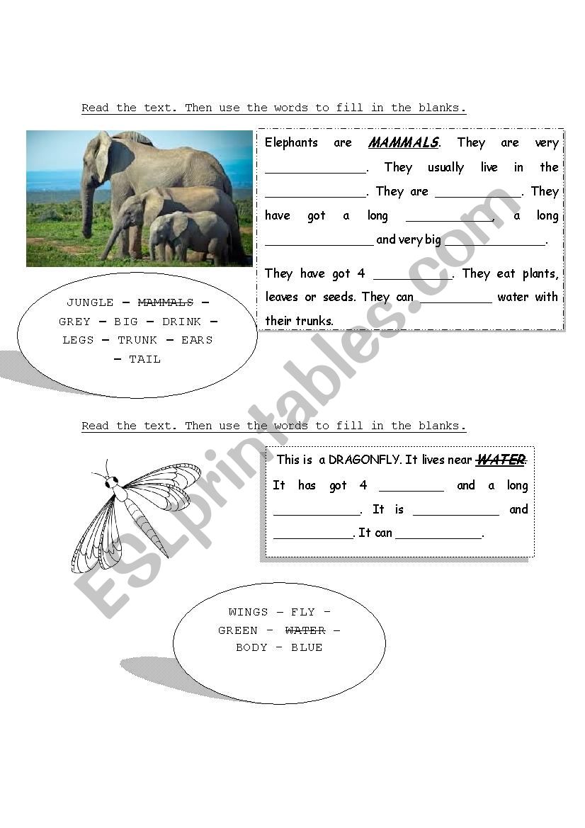 Animals description worksheet