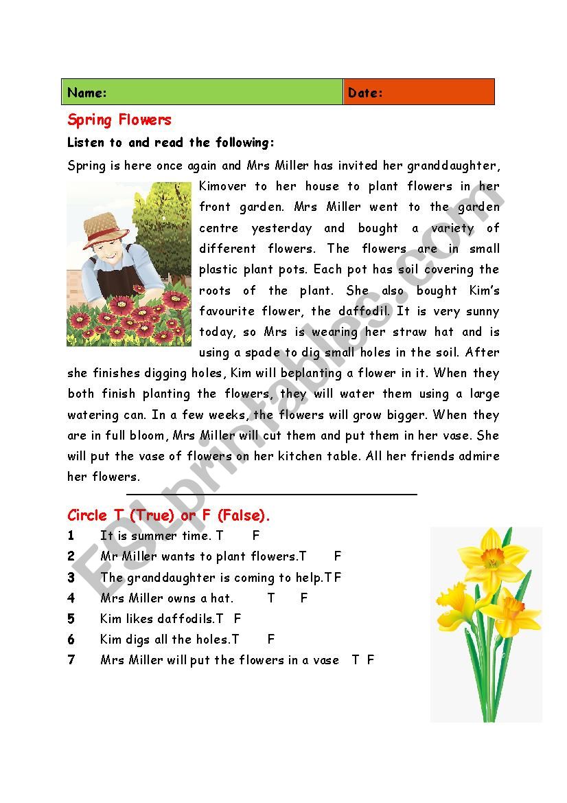 Spring Flowers worksheet