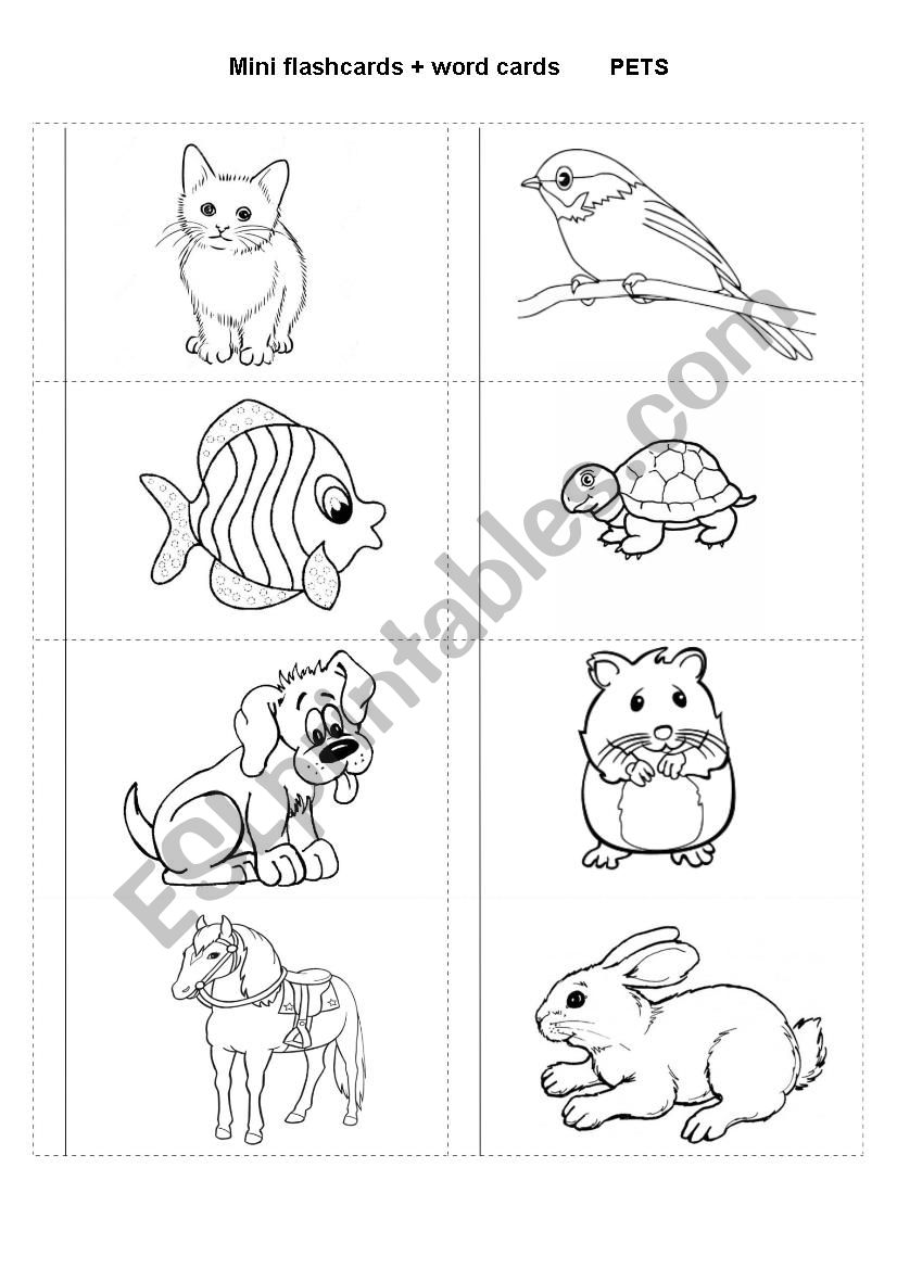 Mini flashcards and word cards (PETS)