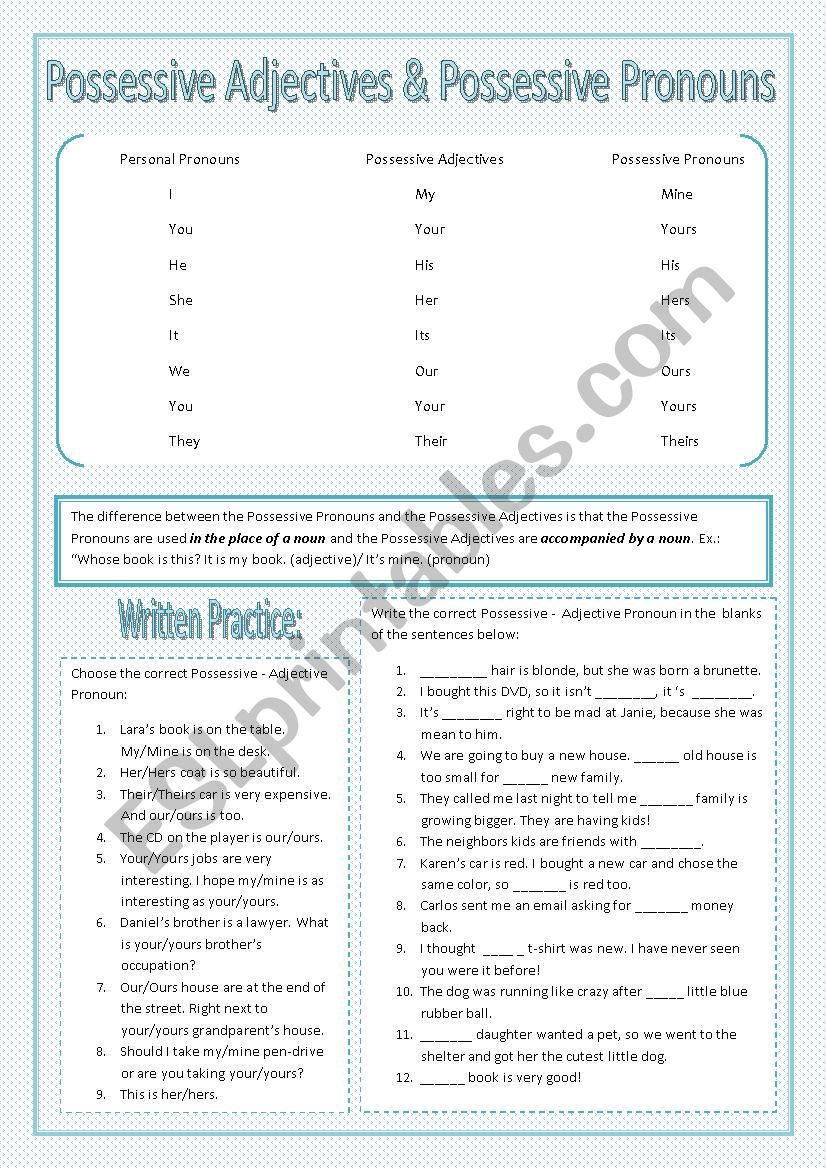 Possessives - Adjectives and Pronouns