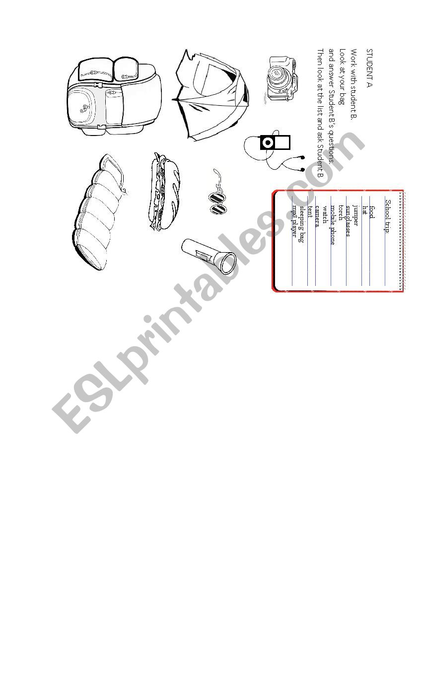 Have you got...? pair work worksheet