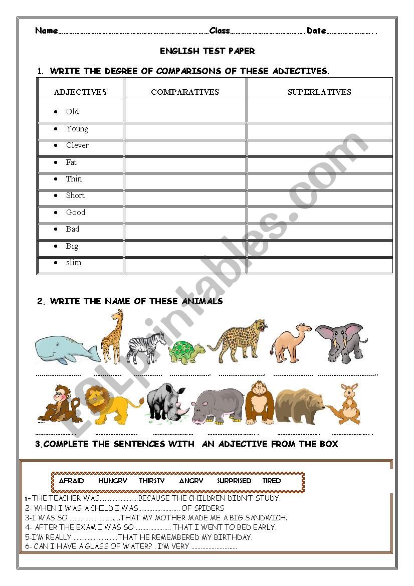 TEST PAPER FOURTH GRADE STUDENTS