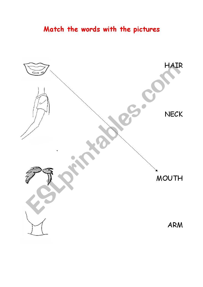 The body: read and match worksheet
