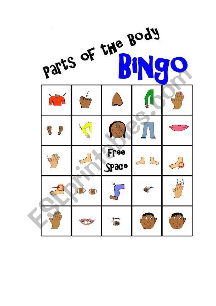 bingo parts of the body worksheet