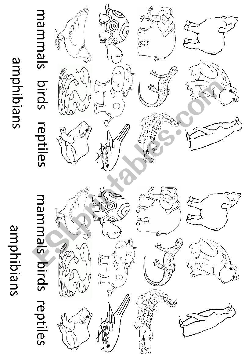 Type of animals worksheet