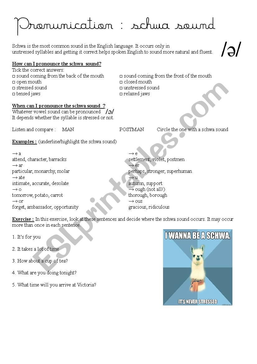 Pronunication : the schwa sound