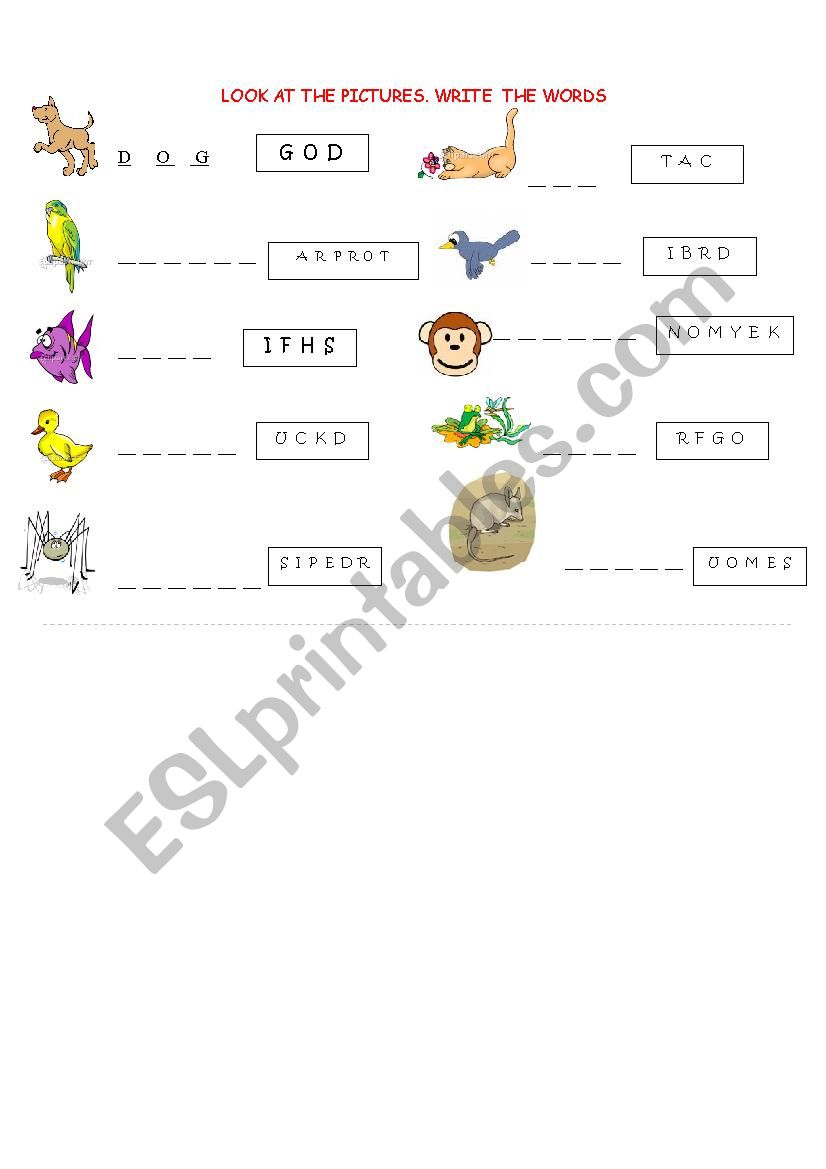 ANIMALS worksheet