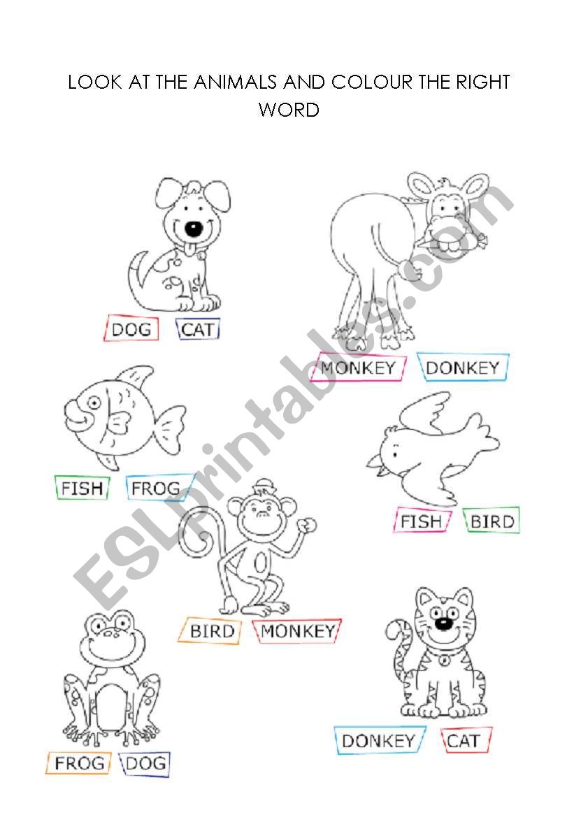 colour the right word worksheet
