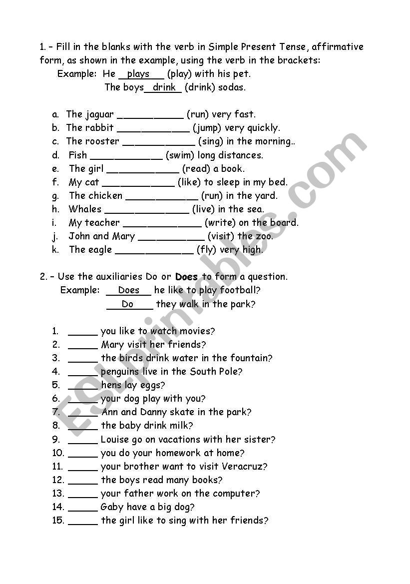 Execises do and does worksheet