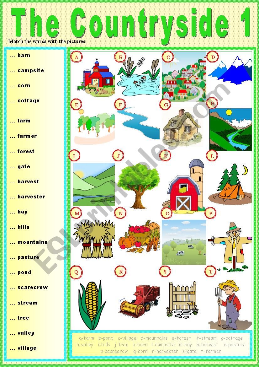 The countryside 1 (Pictionary)