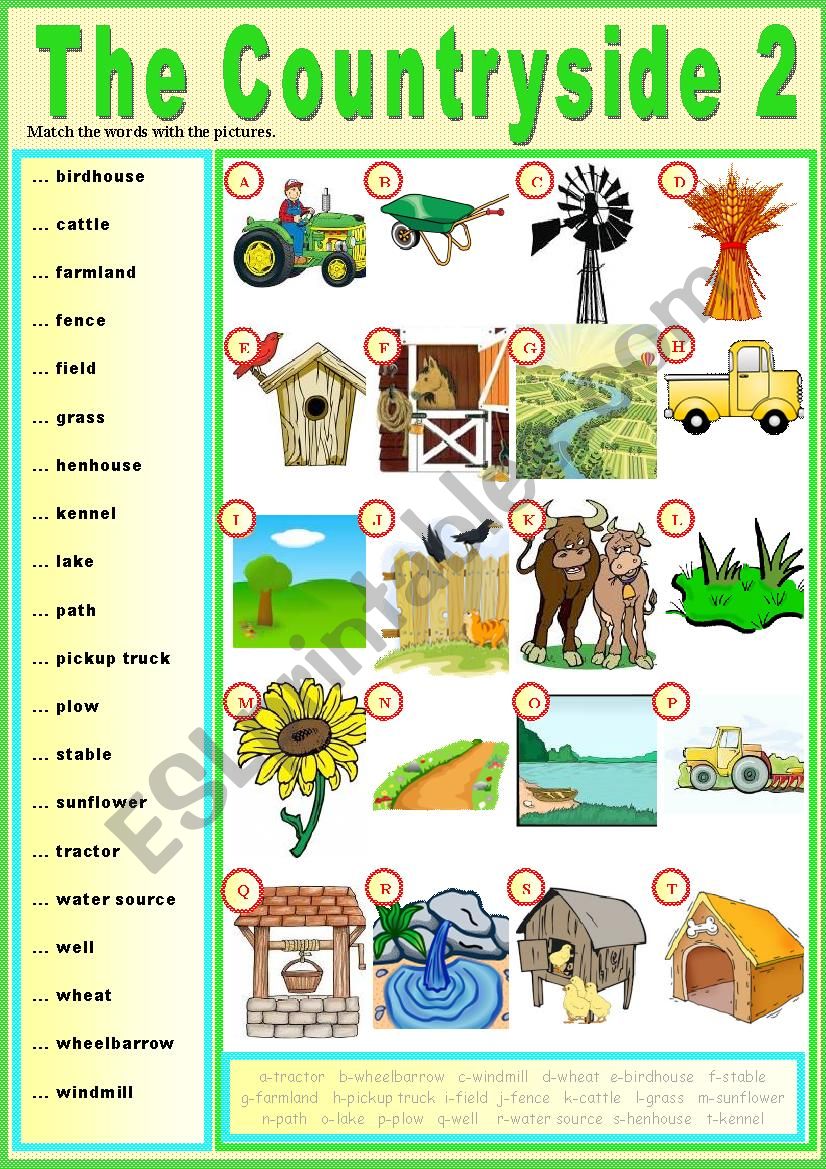 The countryside 2 (Pictionary)