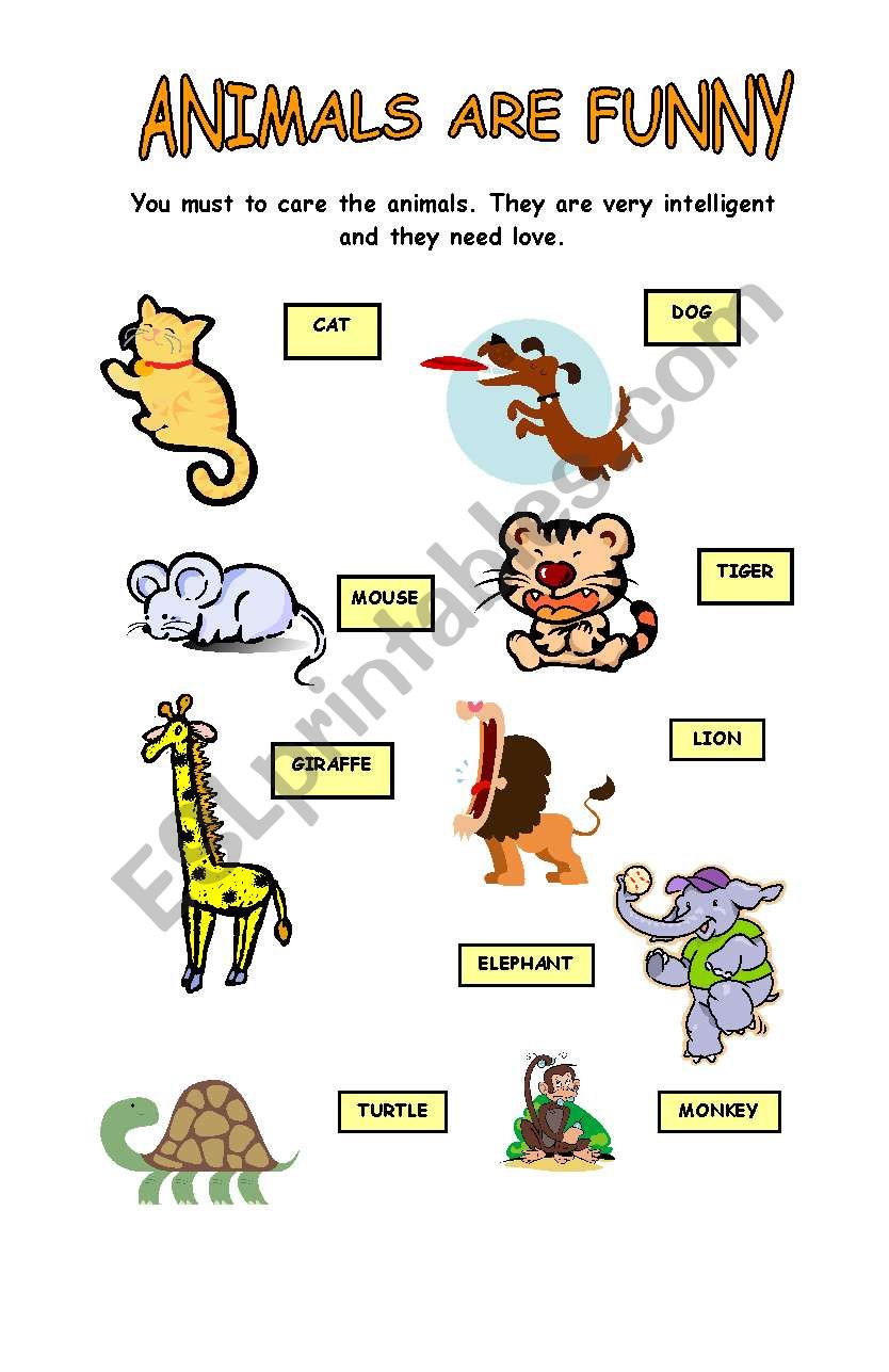 animals 1 worksheet