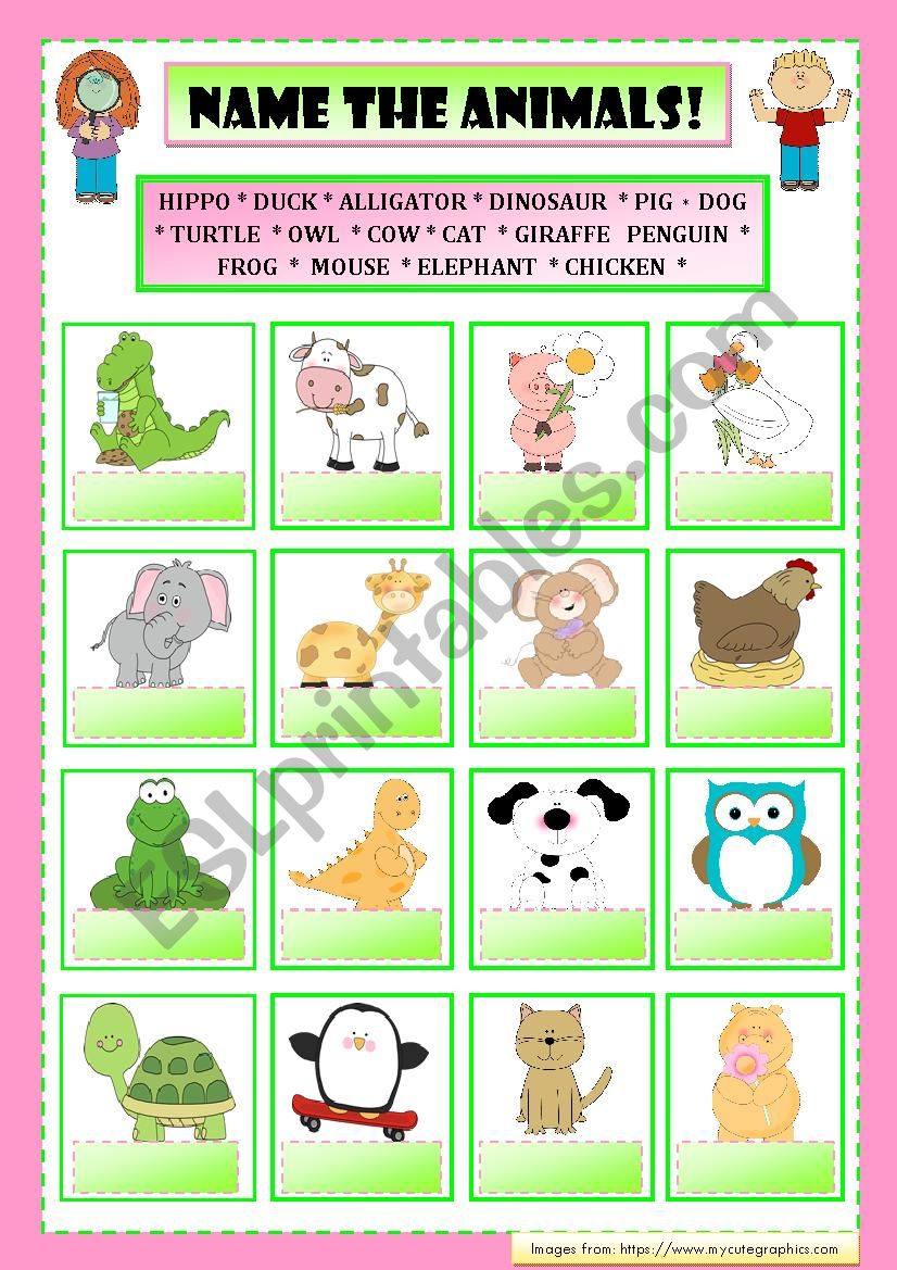 NAME THE ANIMALS! worksheet