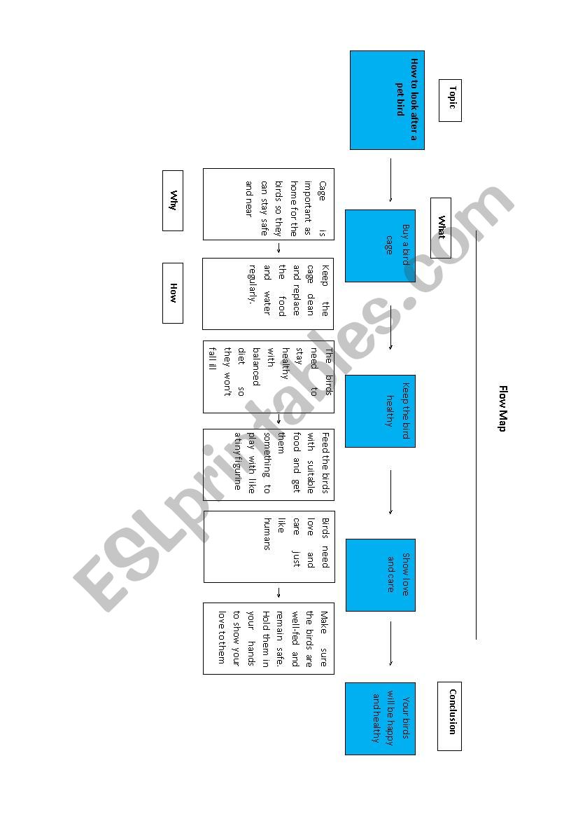 Thinking Maps Speech series 2/3 (Flow Map)