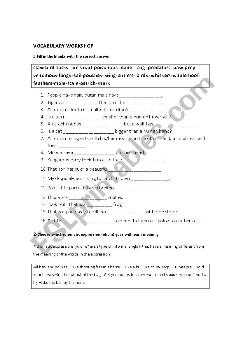 Vocabulary (animals) worksheet