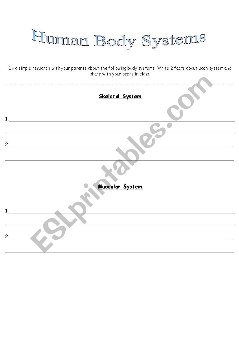 Human Body System worksheet