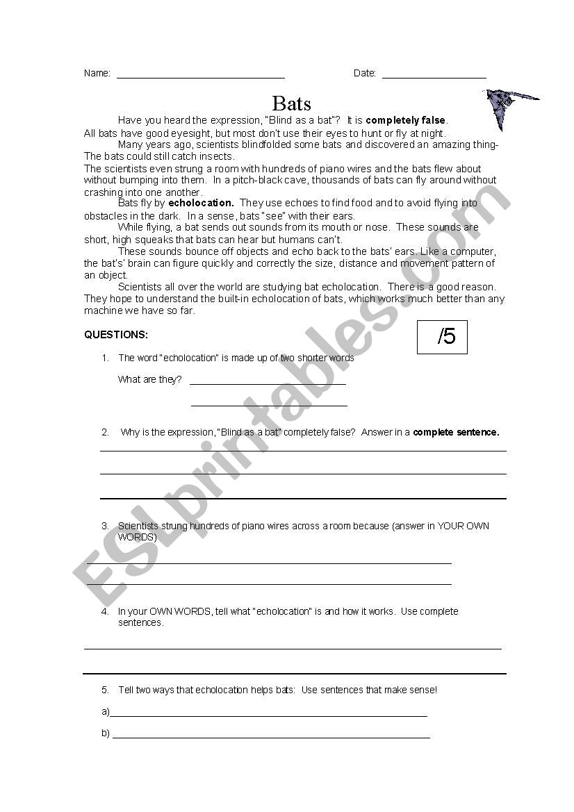 Bats Reading comprehension worksheet