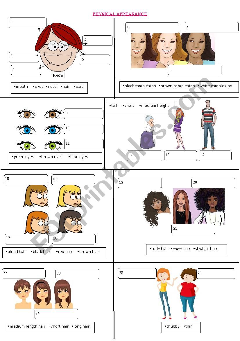 Physical Appearance Picture Dictionary