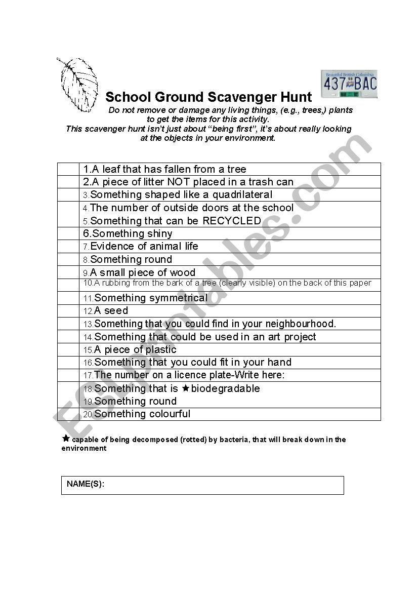 School Ground Scavenger Hunt worksheet