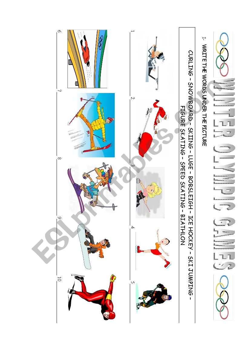 winter Olympic sports worksheet