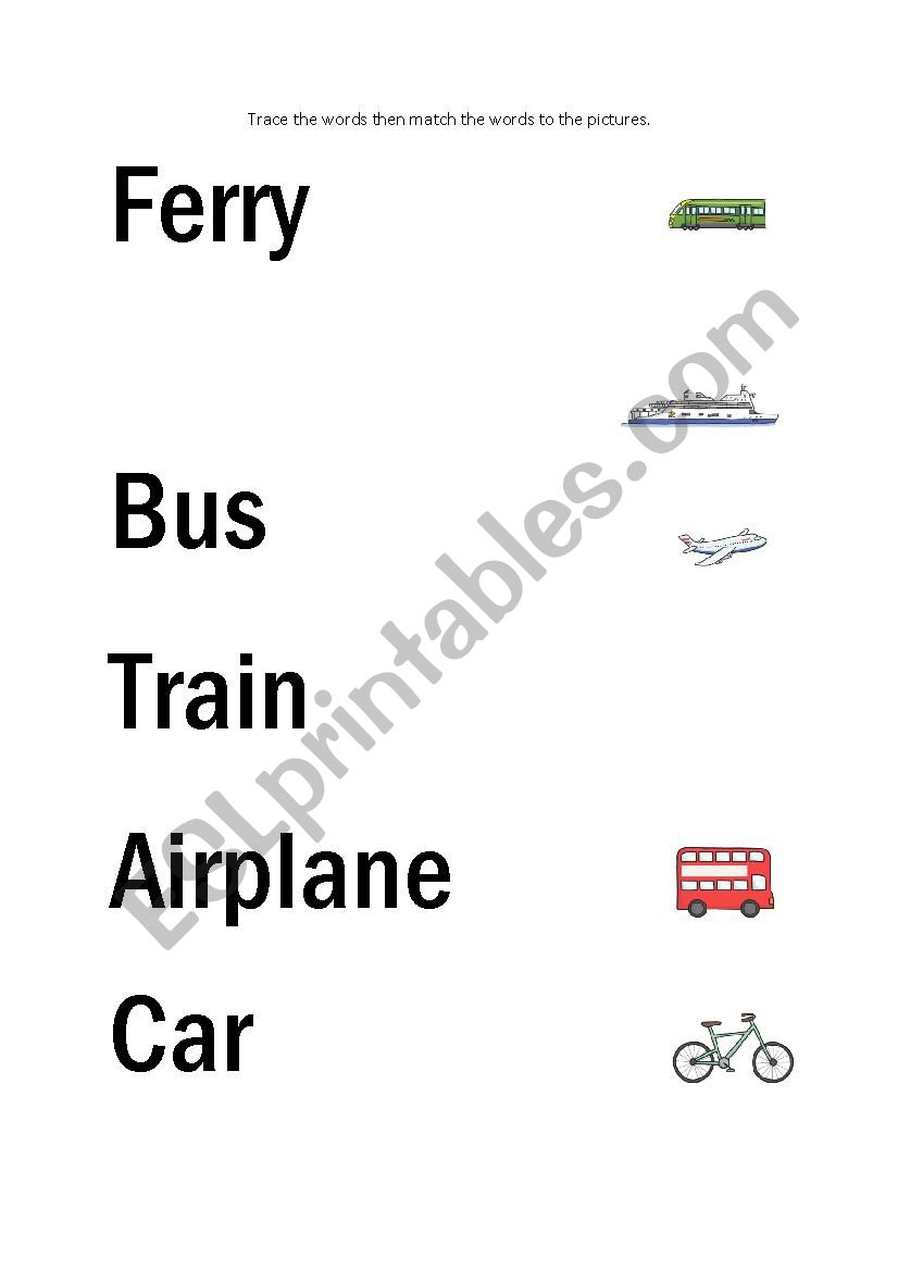 Transport worksheet