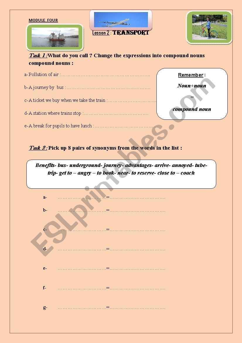 TRANSPORT worksheet