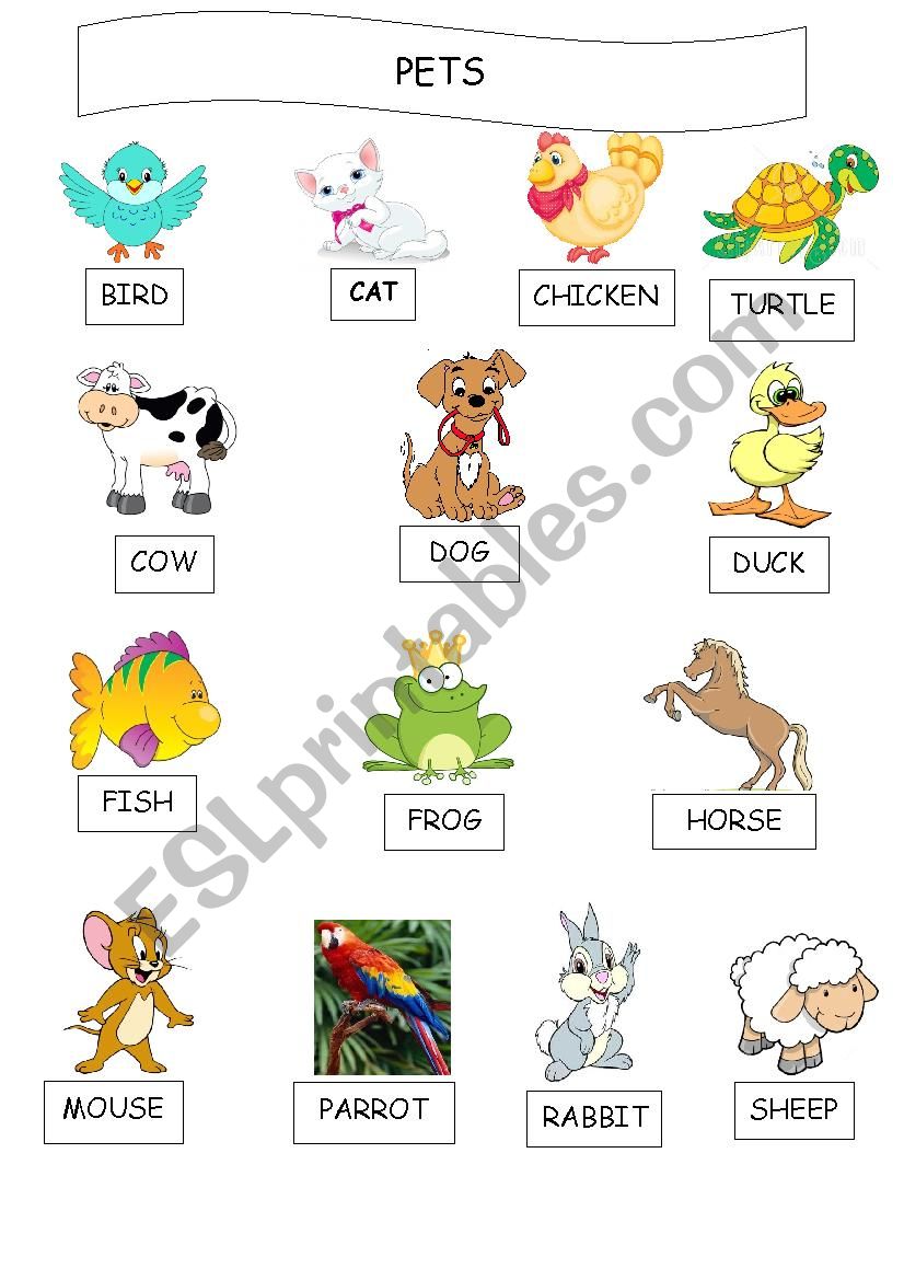 PETS worksheet