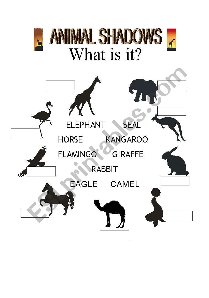 Animal shadows worksheet