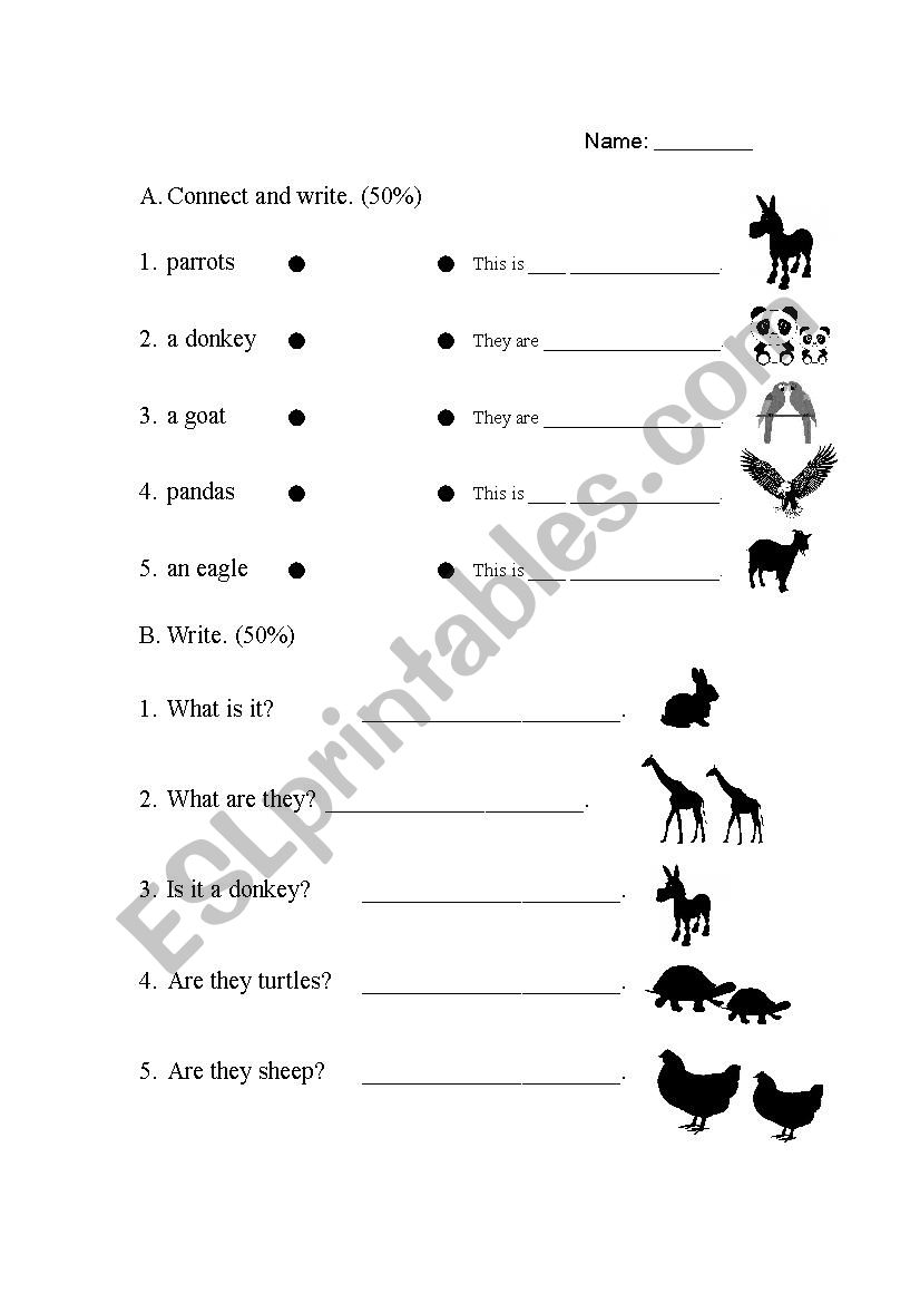 Animal worksheet