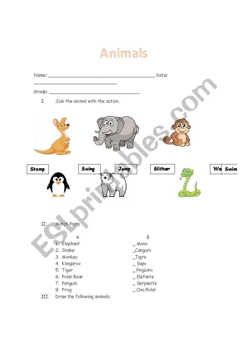 Animals worksheet