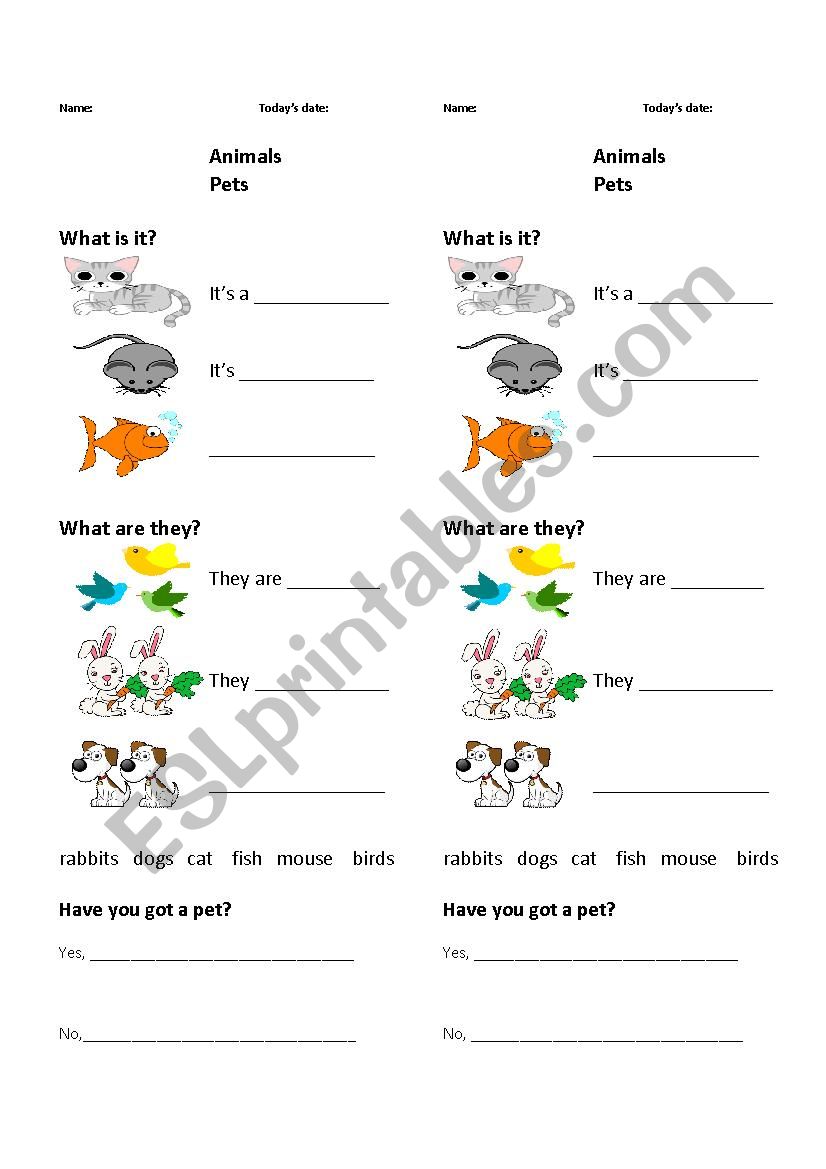 Animals - Pets worksheet