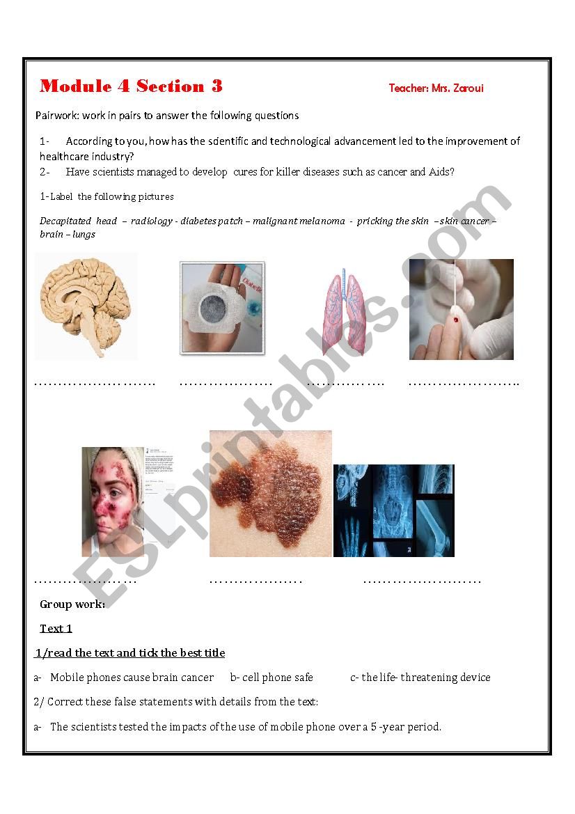 module 4 section 3 worksheet