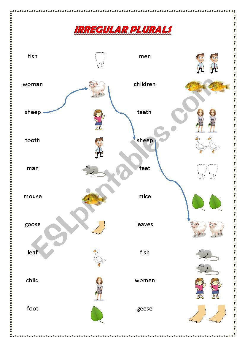 irregular plurals worksheet