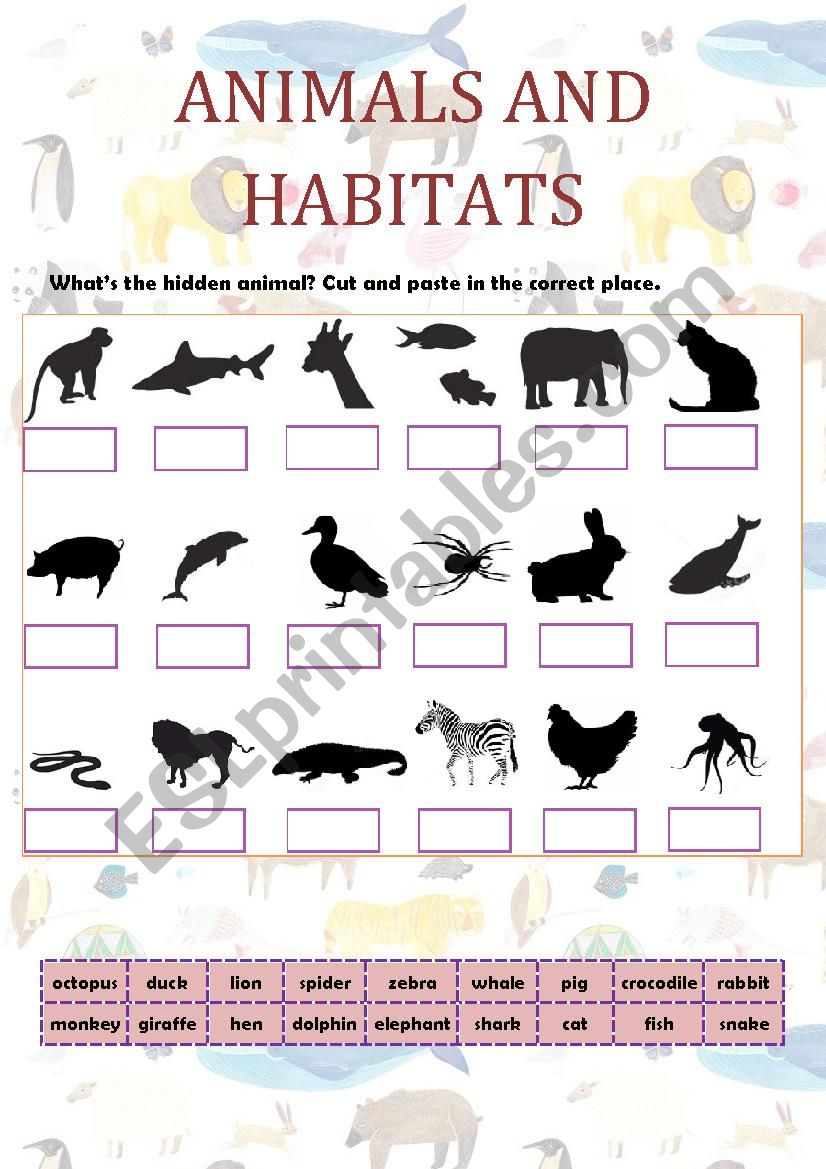 ANIMALS AND HABITATS worksheet
