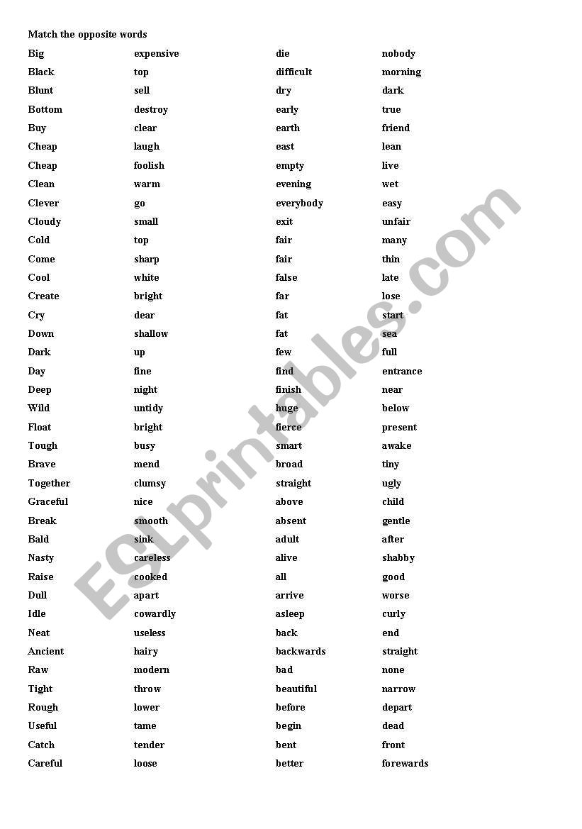 opposite word worksheet