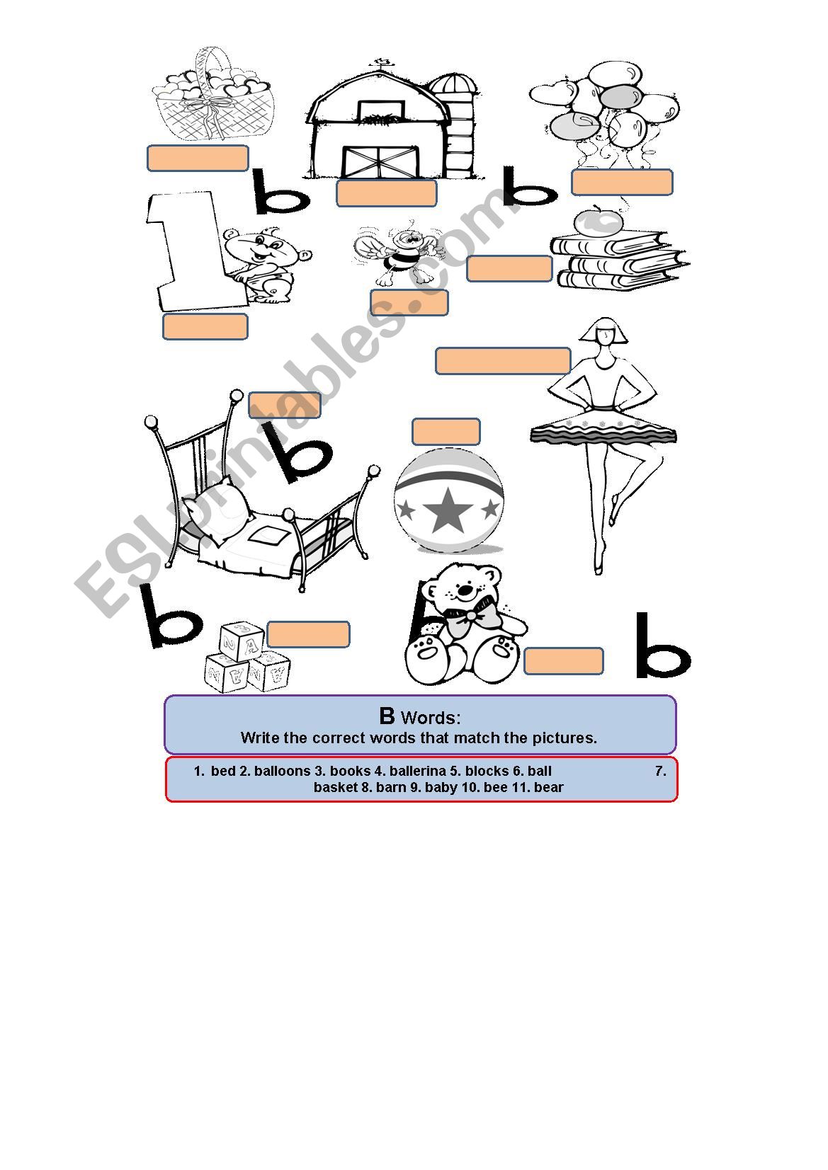 B Words Worksheet worksheet