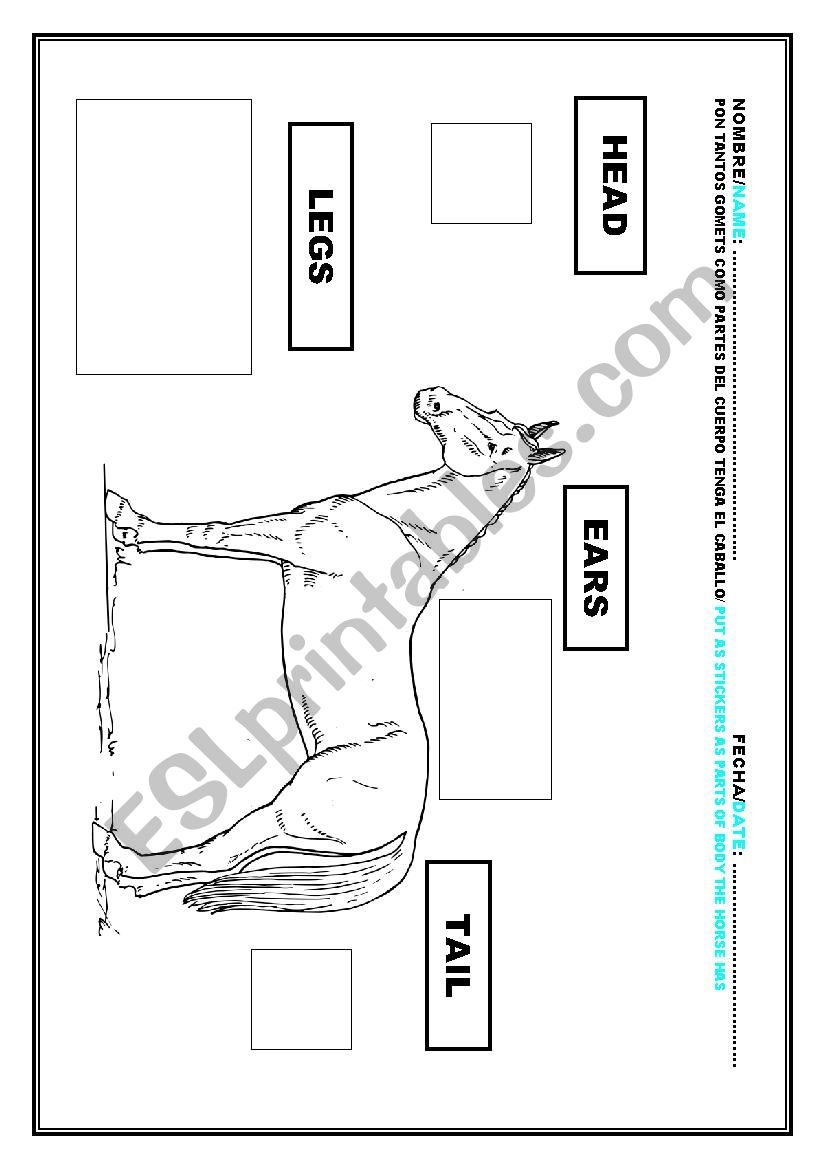 parts of the body.Horse worksheet