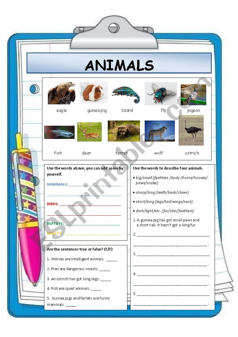 Describing Animals worksheet