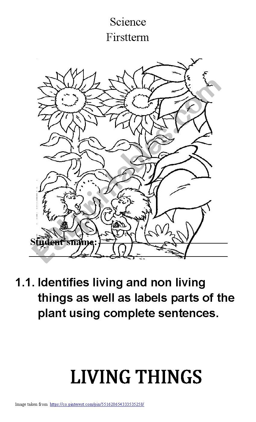 Living and non living things  worksheet