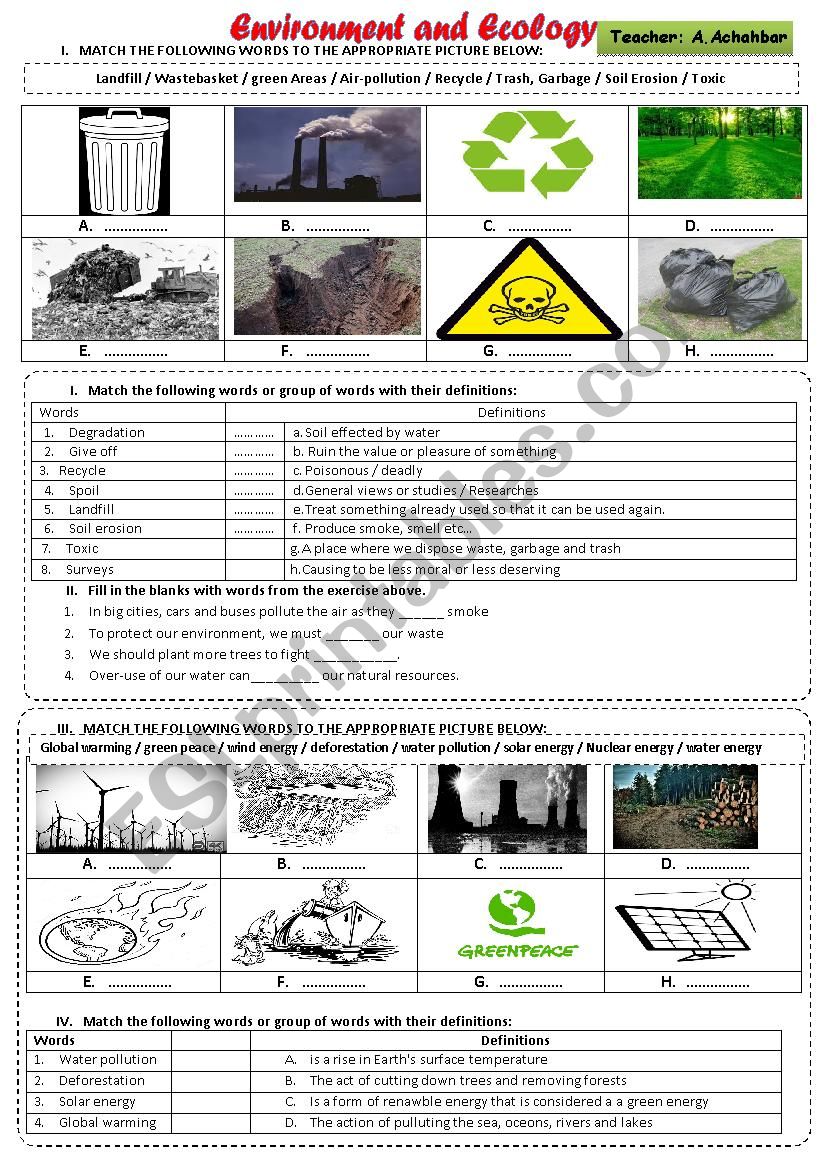 Environment and Ecology worksheet