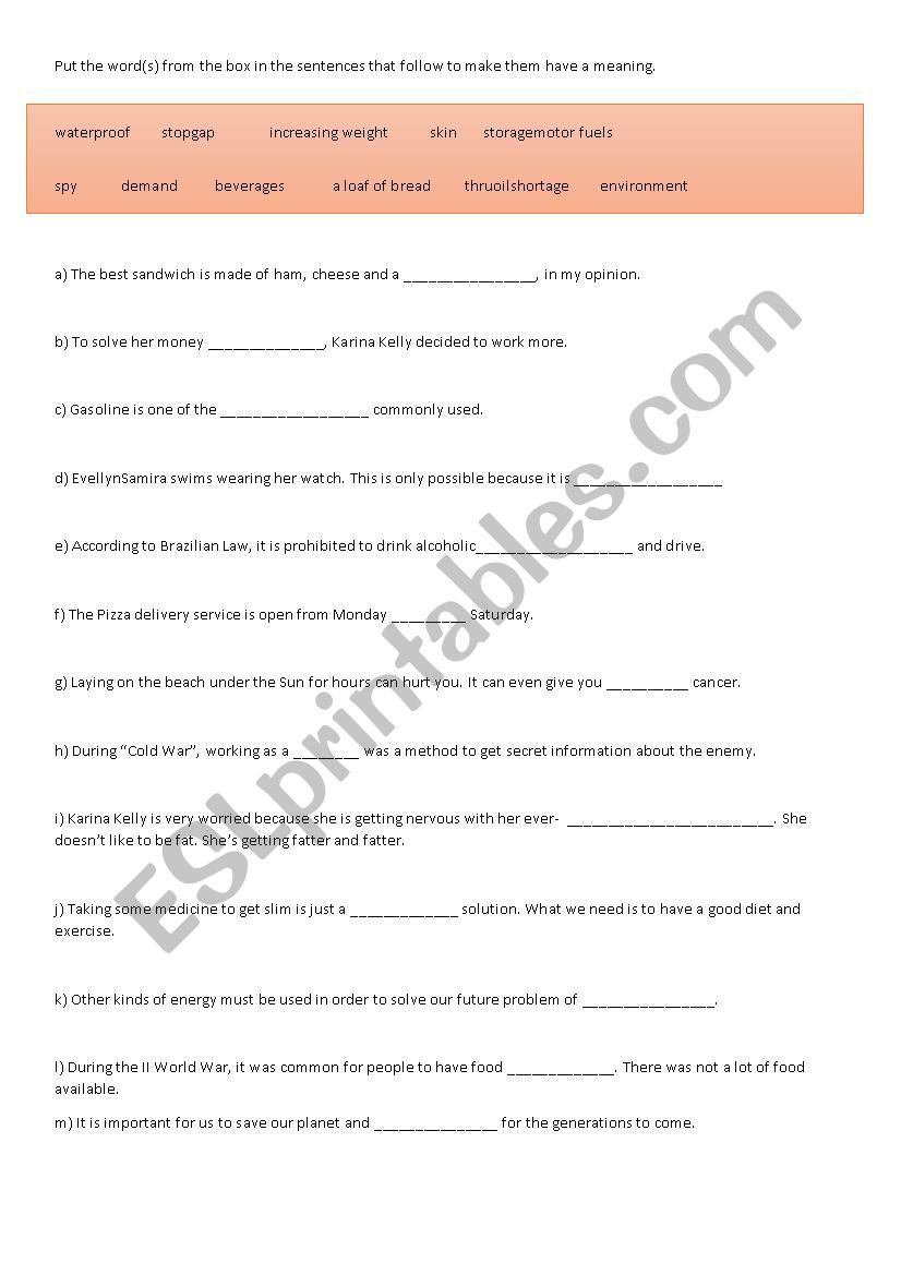 Vocabulary Exercise worksheet