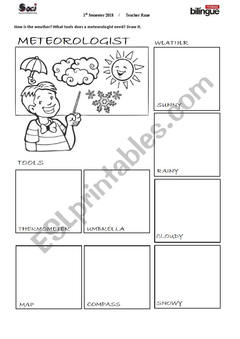 meteorologist worksheet