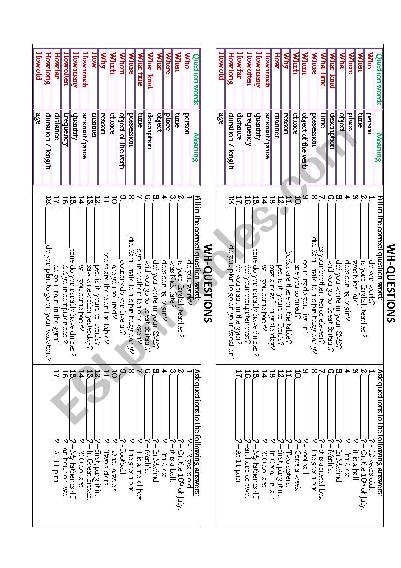 wh questions!! worksheet