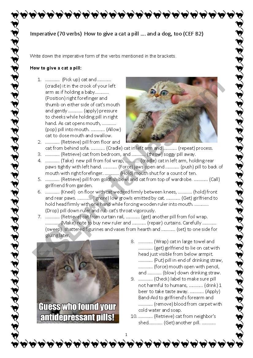 Imperative (70 verbs)  How to give a cat a pill â€¦and a dog, too (CEF B2)