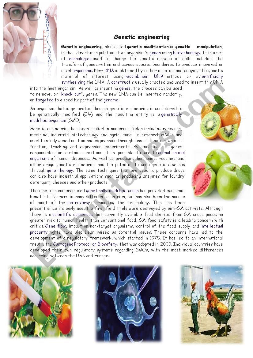 genetic engineering worksheet